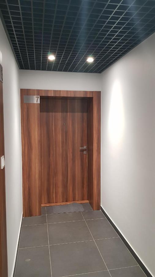 Chopin Park Lux Apartment, Self Check-In 24H, Free Parking, Air-Conditioning 波兹南 外观 照片